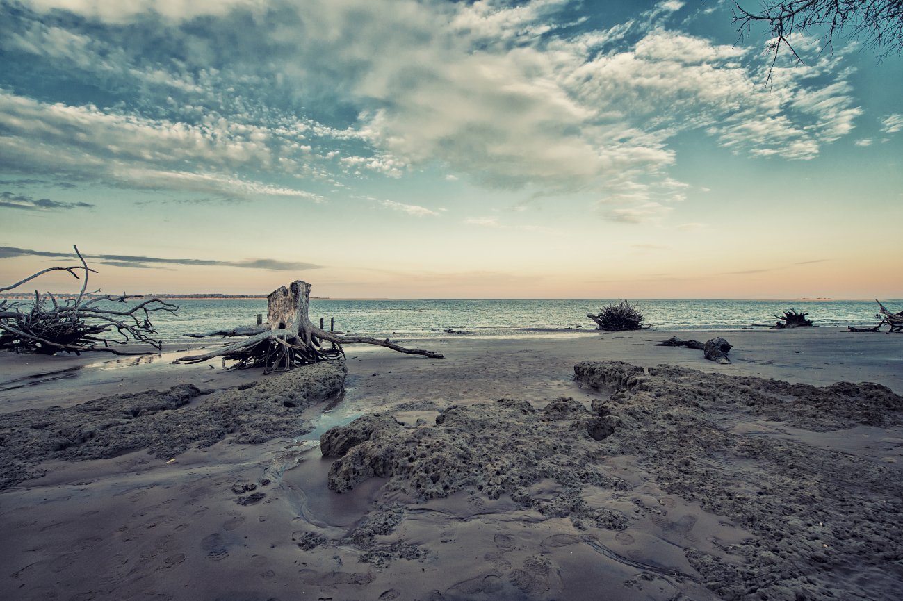 Pam Bell Photography photo 3