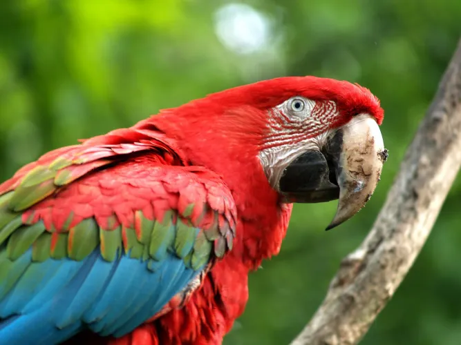 Gulf Coast Destinations photo 3