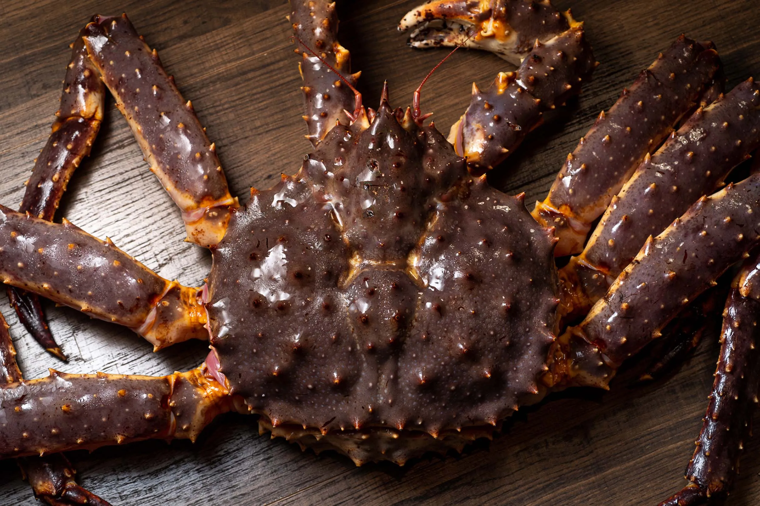 King crab at Klaw – best seafood restaurant in Miami