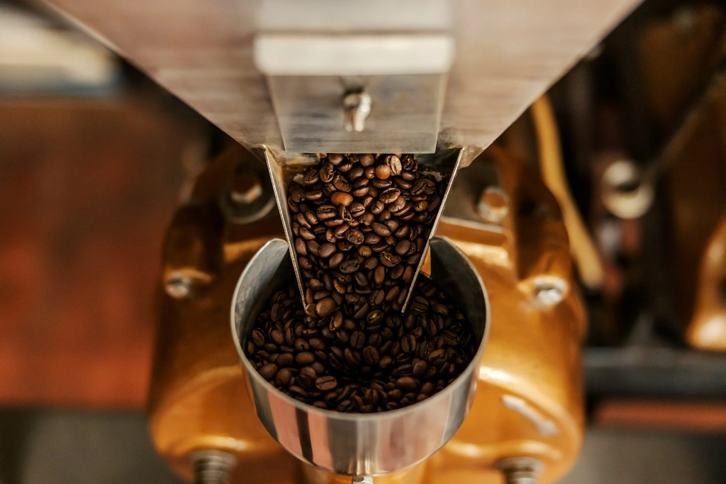 Aroma Espresso and Cappuccino Bar photo 3