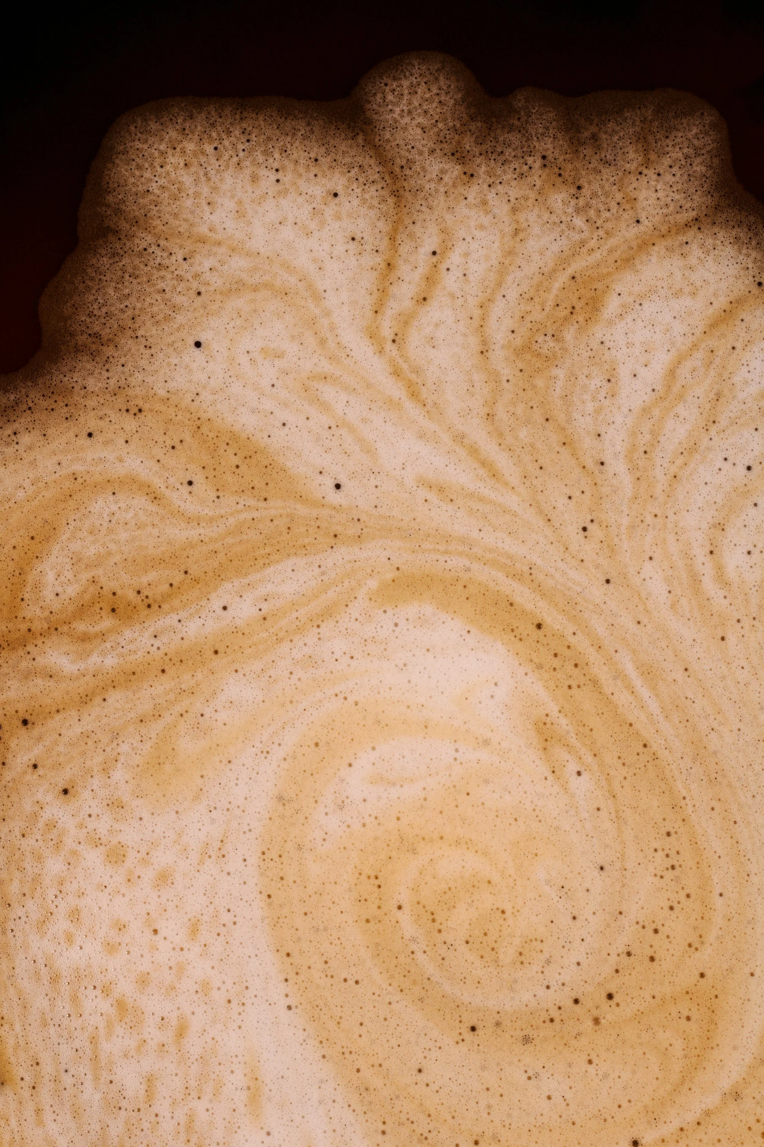 Aroma Espresso and Cappuccino Bar photo 4