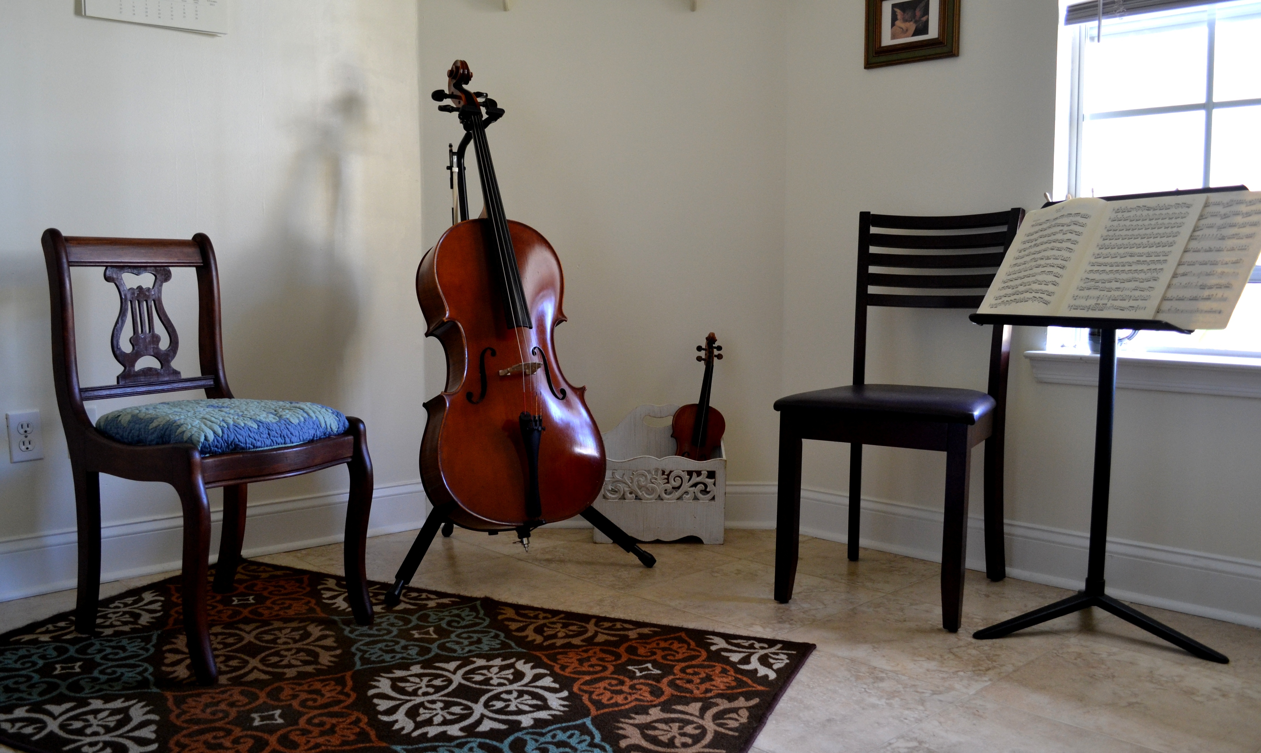 Cello Serenade photo 5