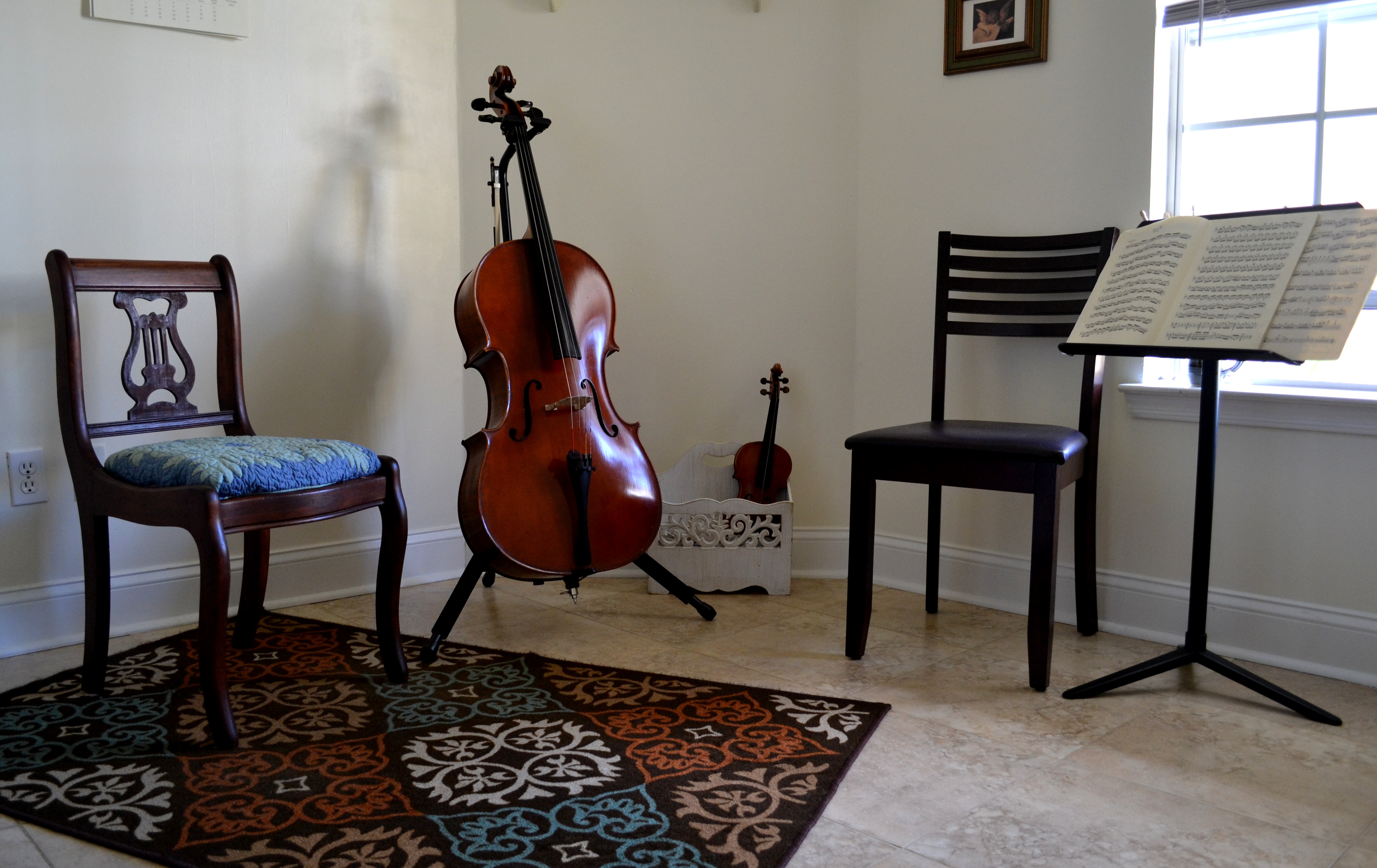 Cello Serenade photo 3