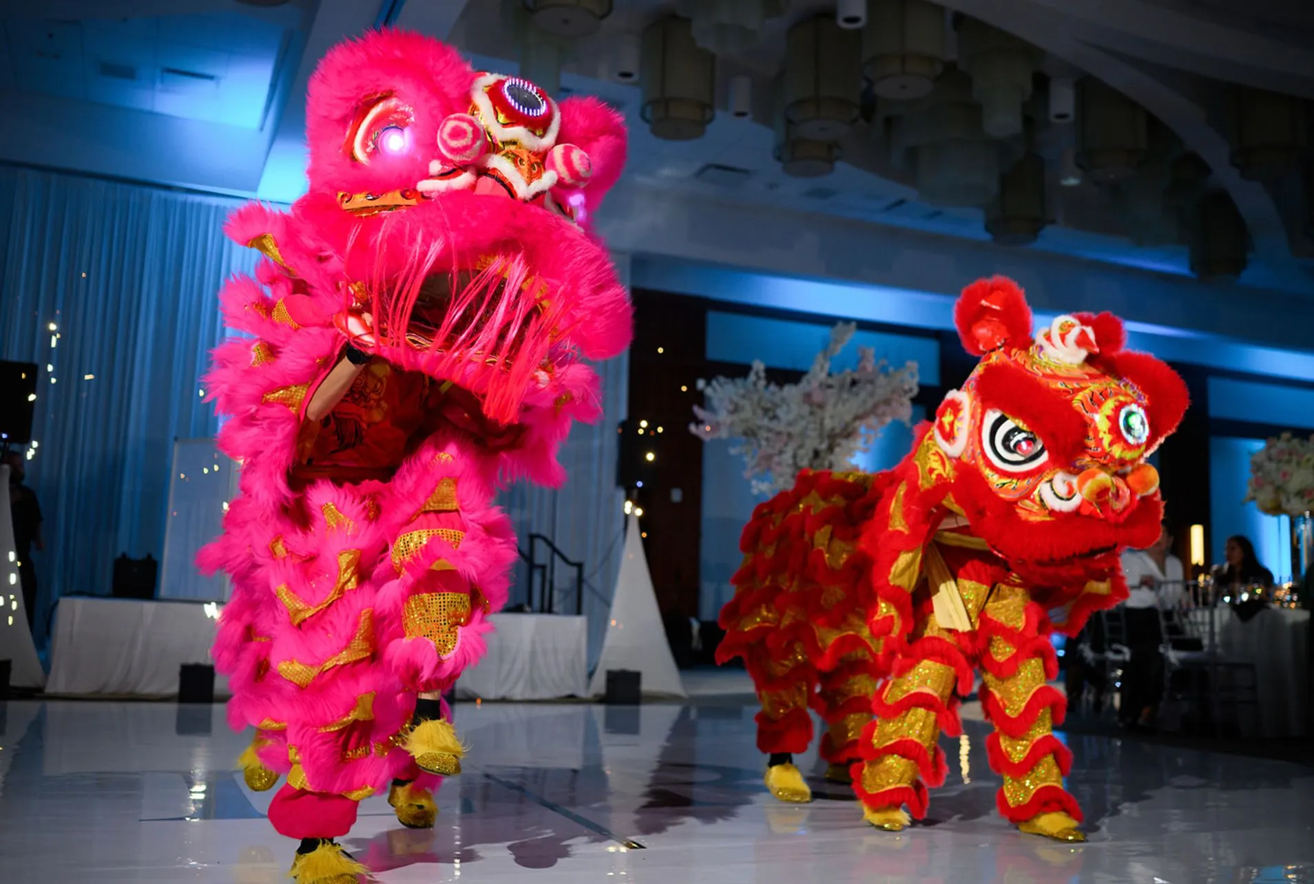 Lucid Events photo 4