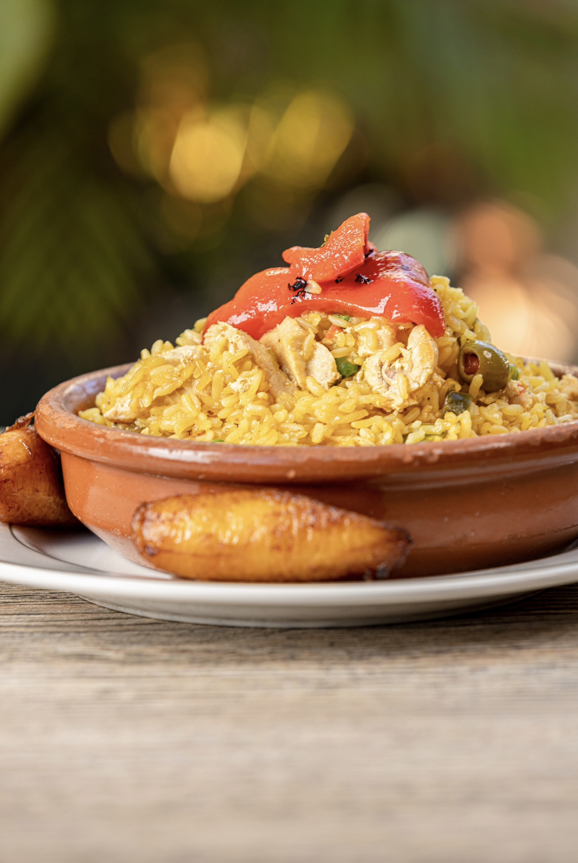 Arroz con pollo