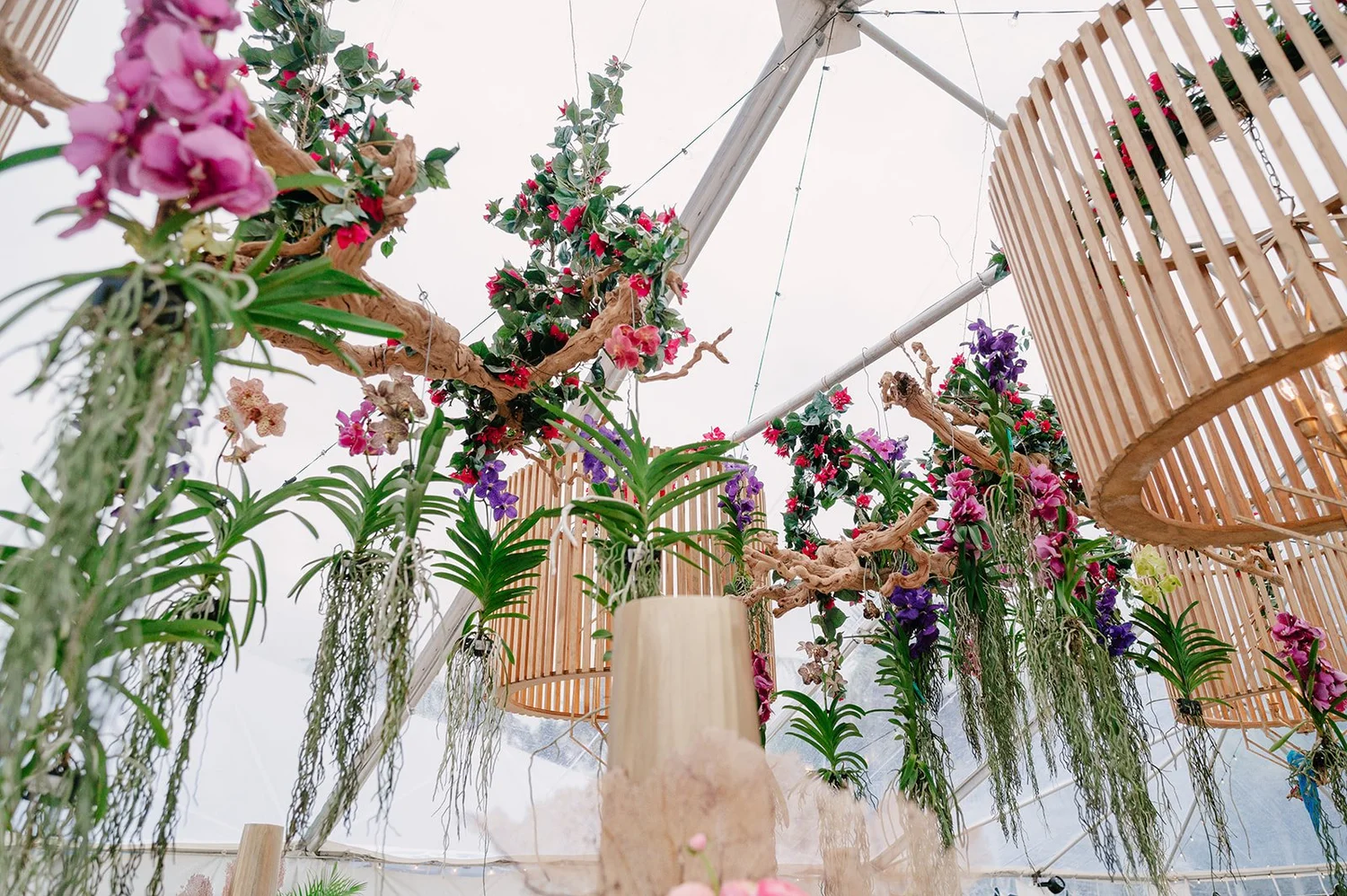 Linzi Events, Inc. photo 5