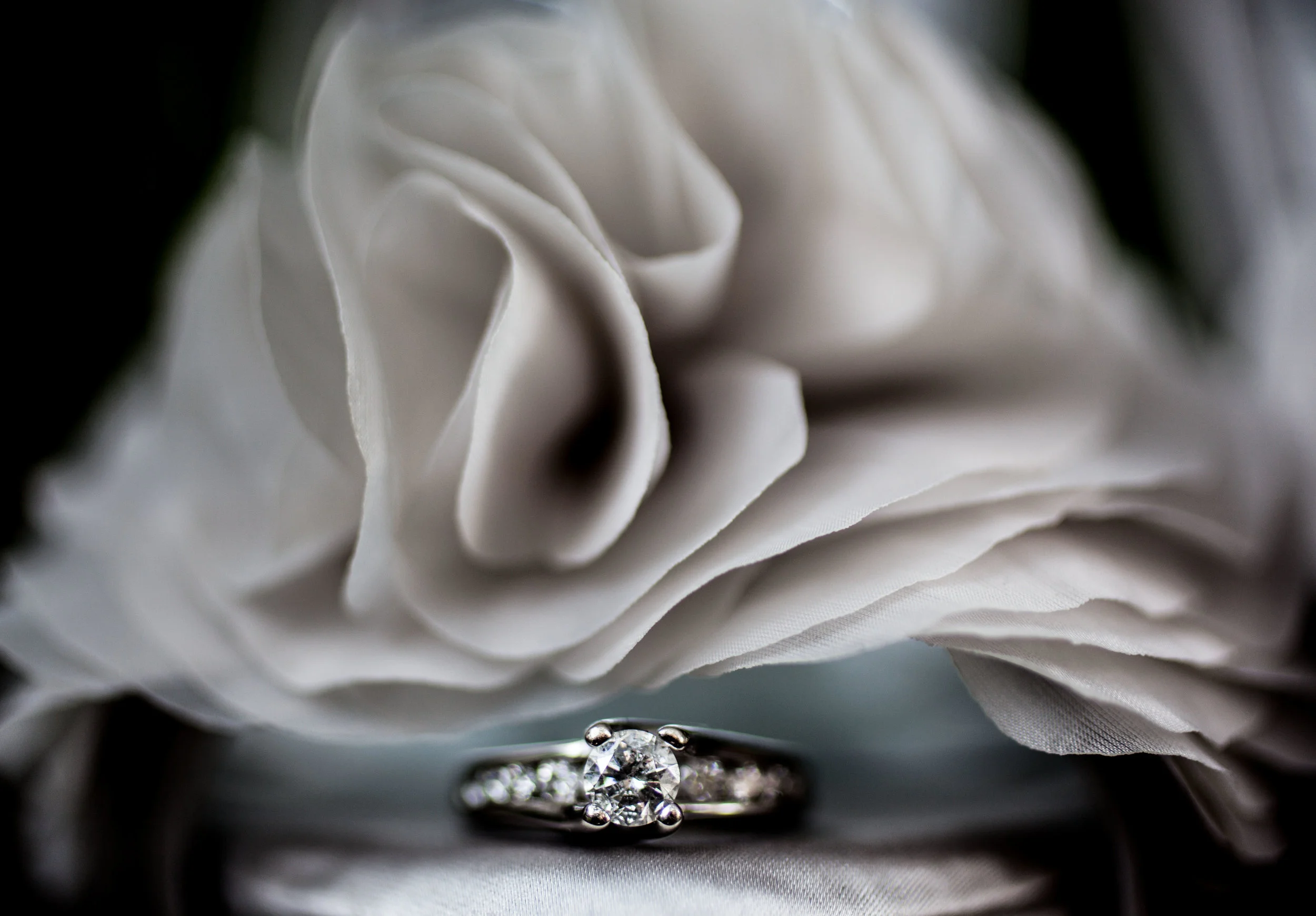 Photography by Santy Martinez photo 3