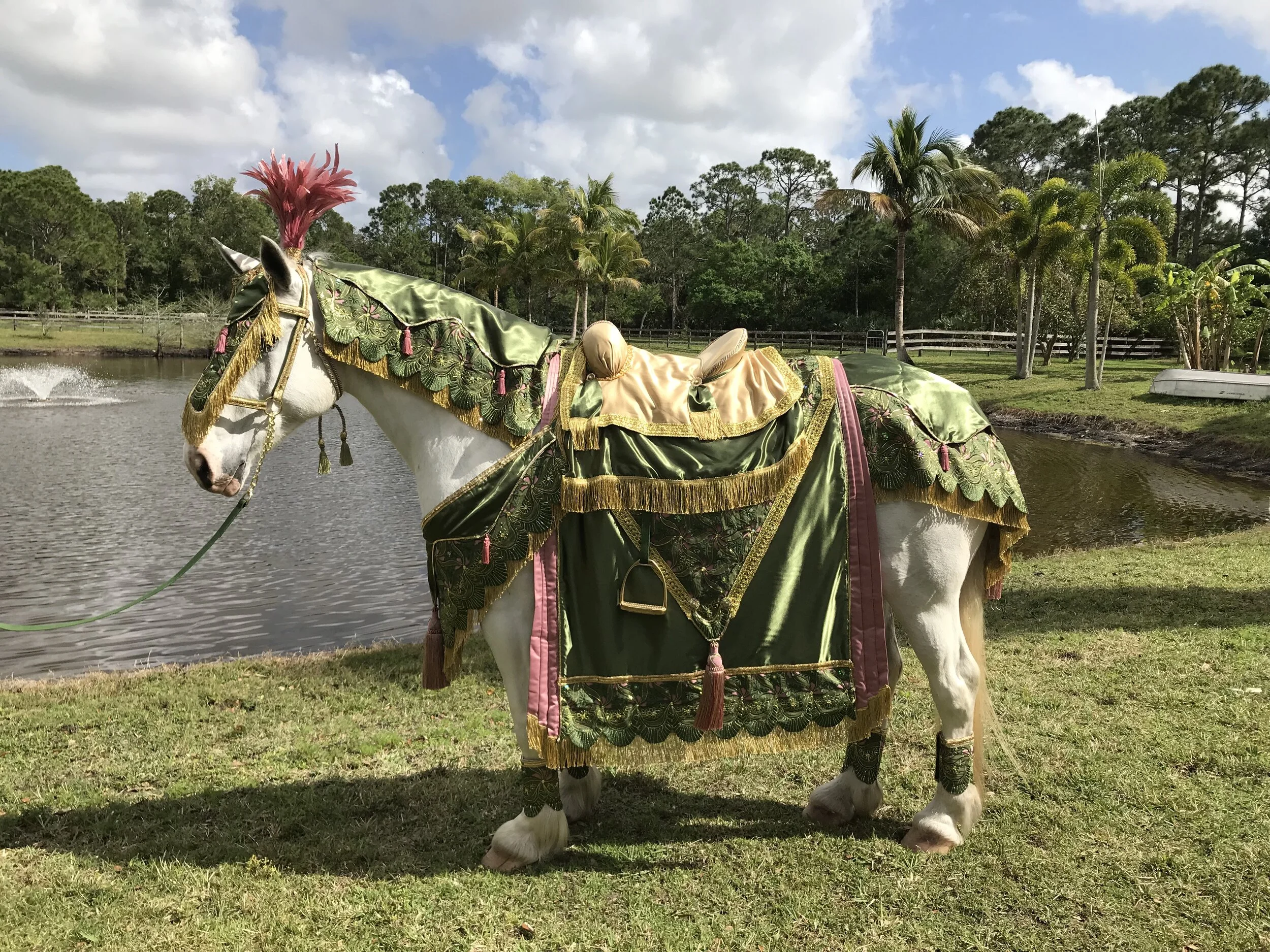 Royal Palm