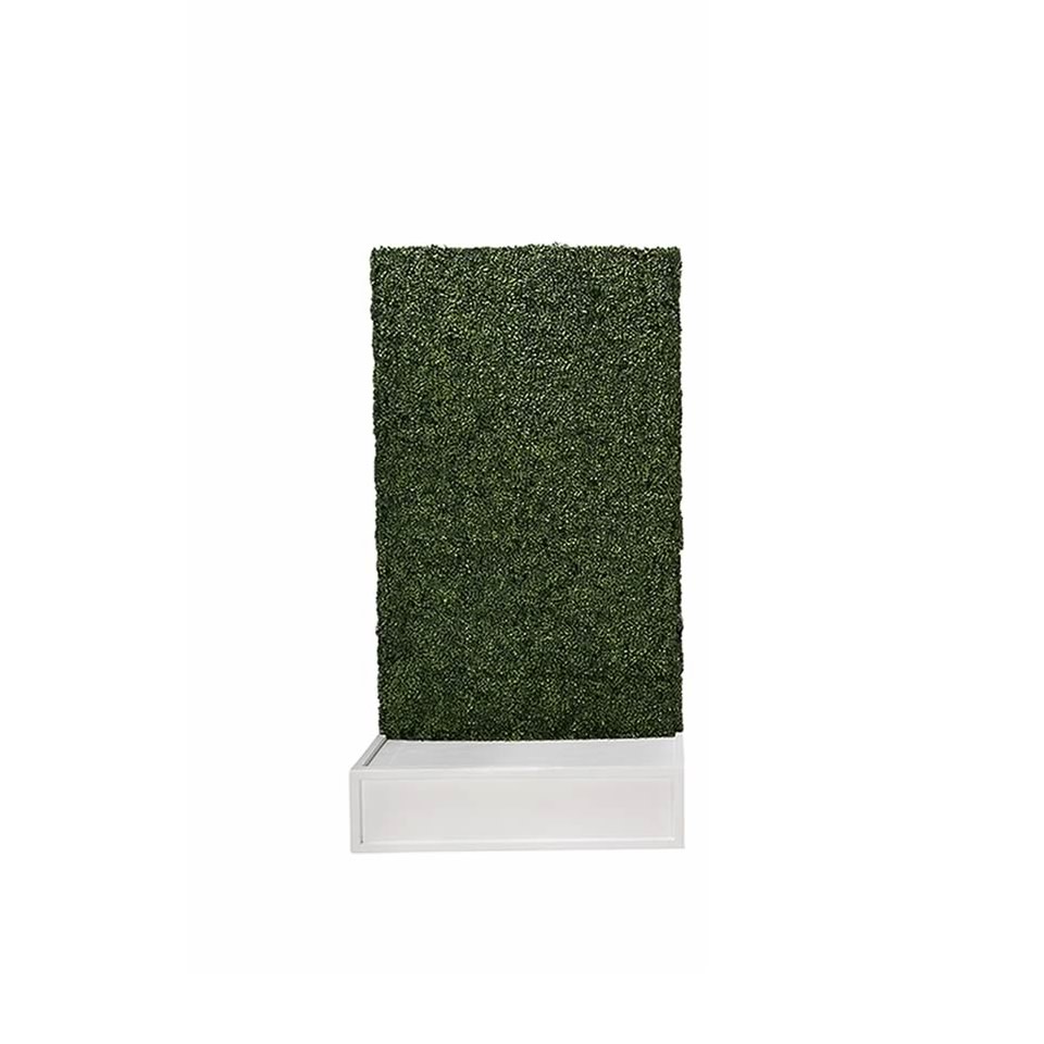 Hedge Walls white base