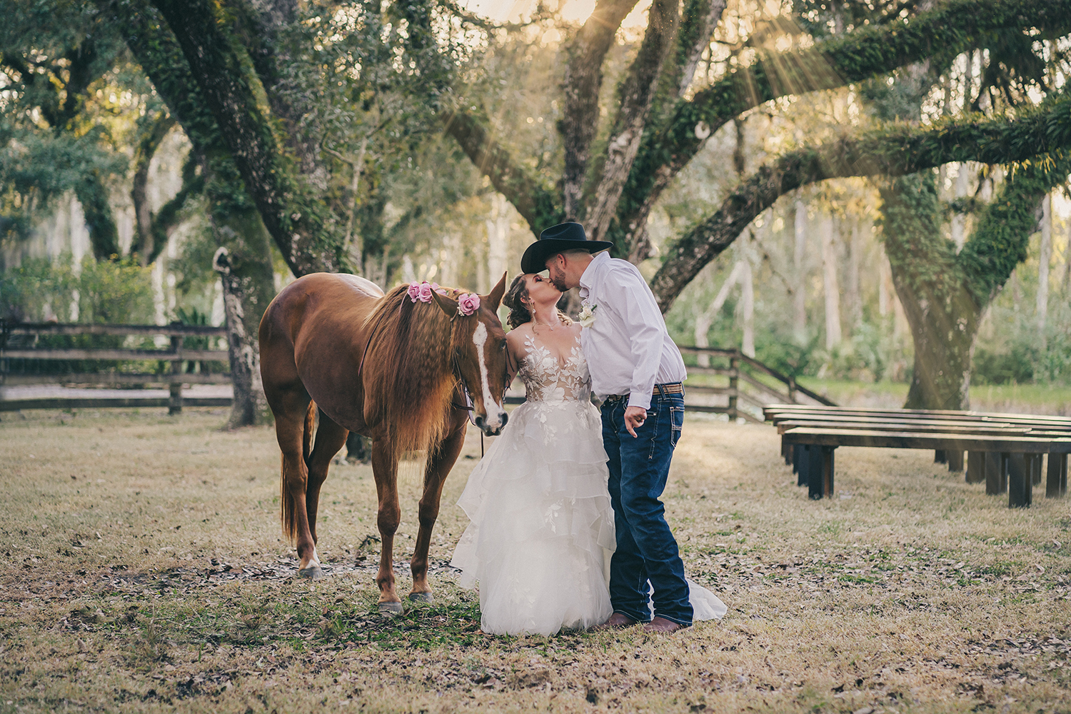 Anna Moore Photography photo 3
