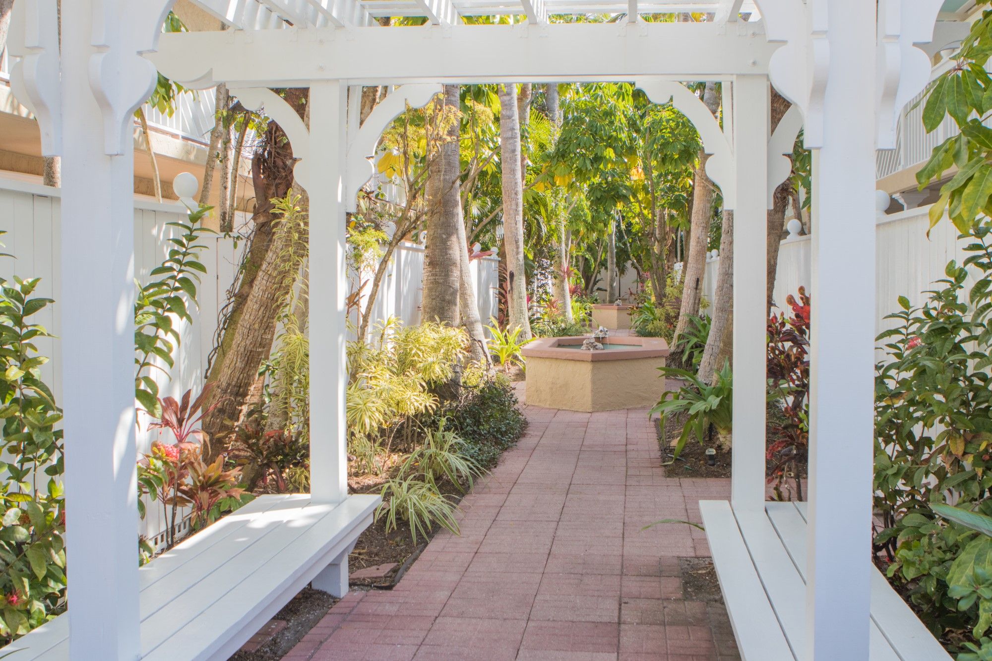 Tortuga Pergola