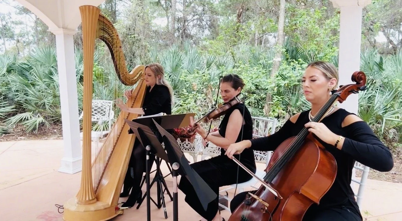 Perle Noire String Musicians photo 5