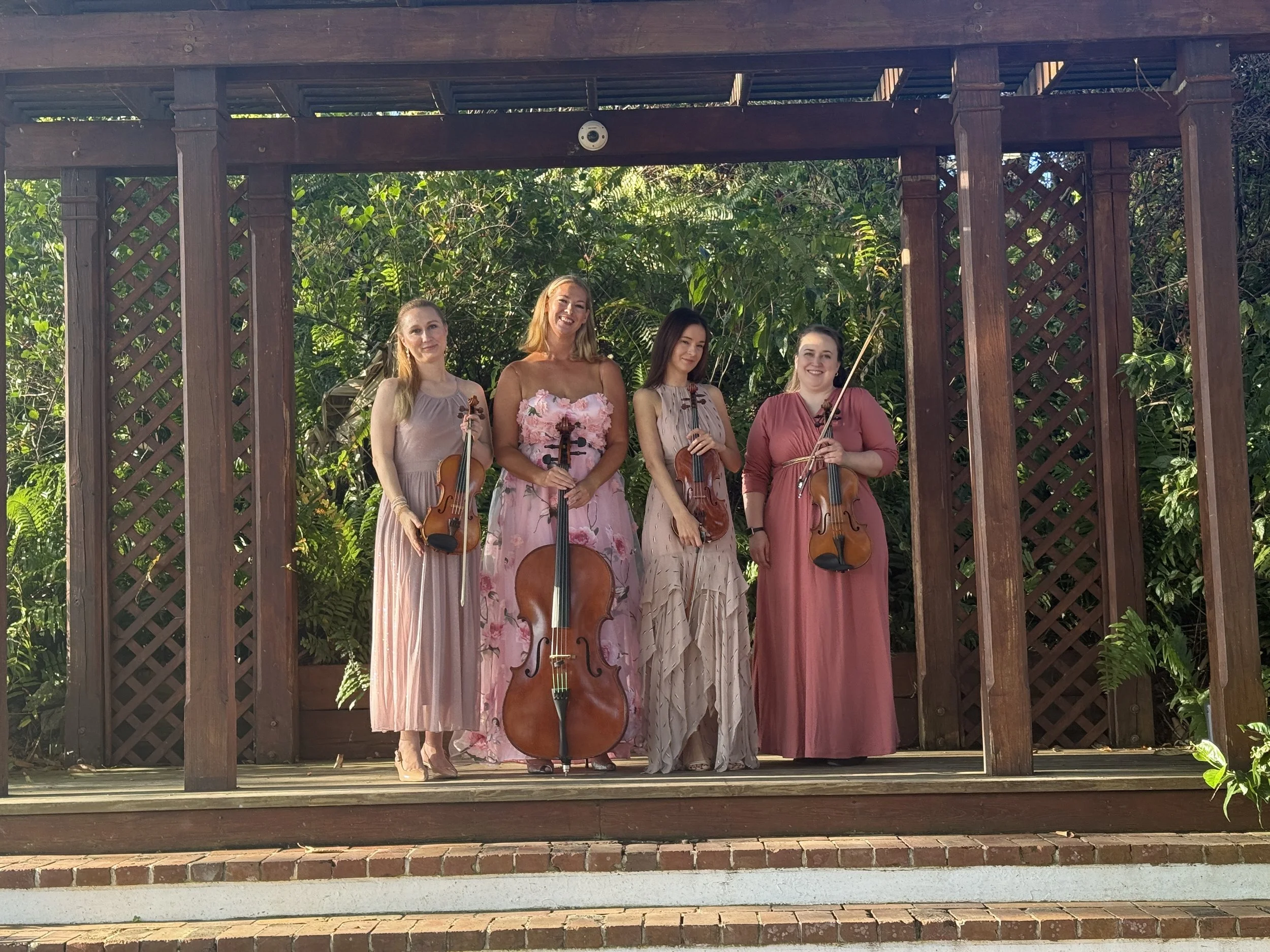 Perle Noire String Musicians photo 3