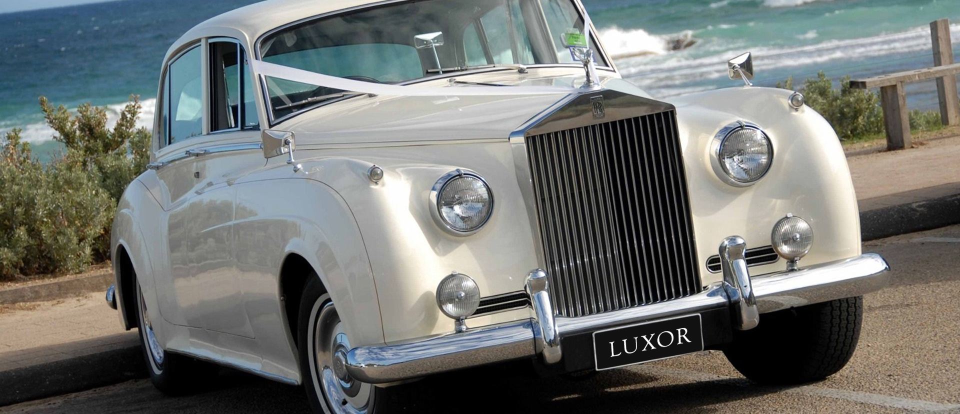 LUXOR LIMO photo 3