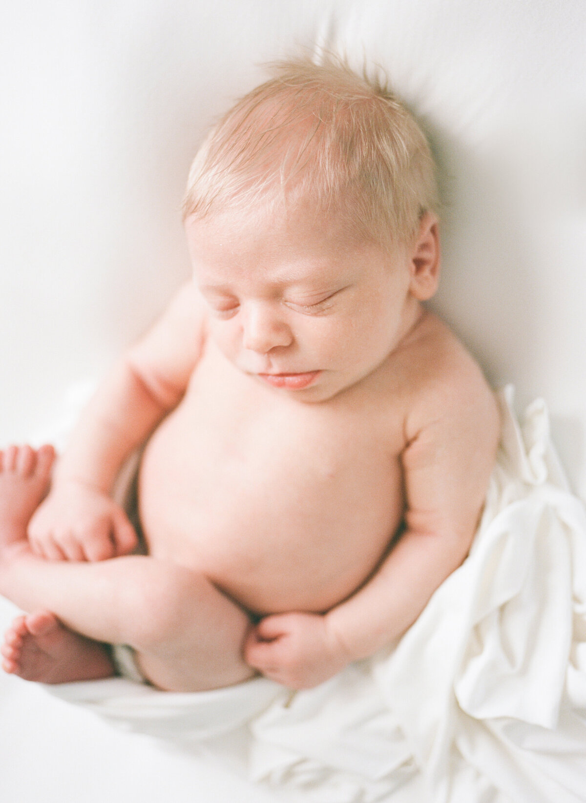Tallahassee Newborn Photographer 116