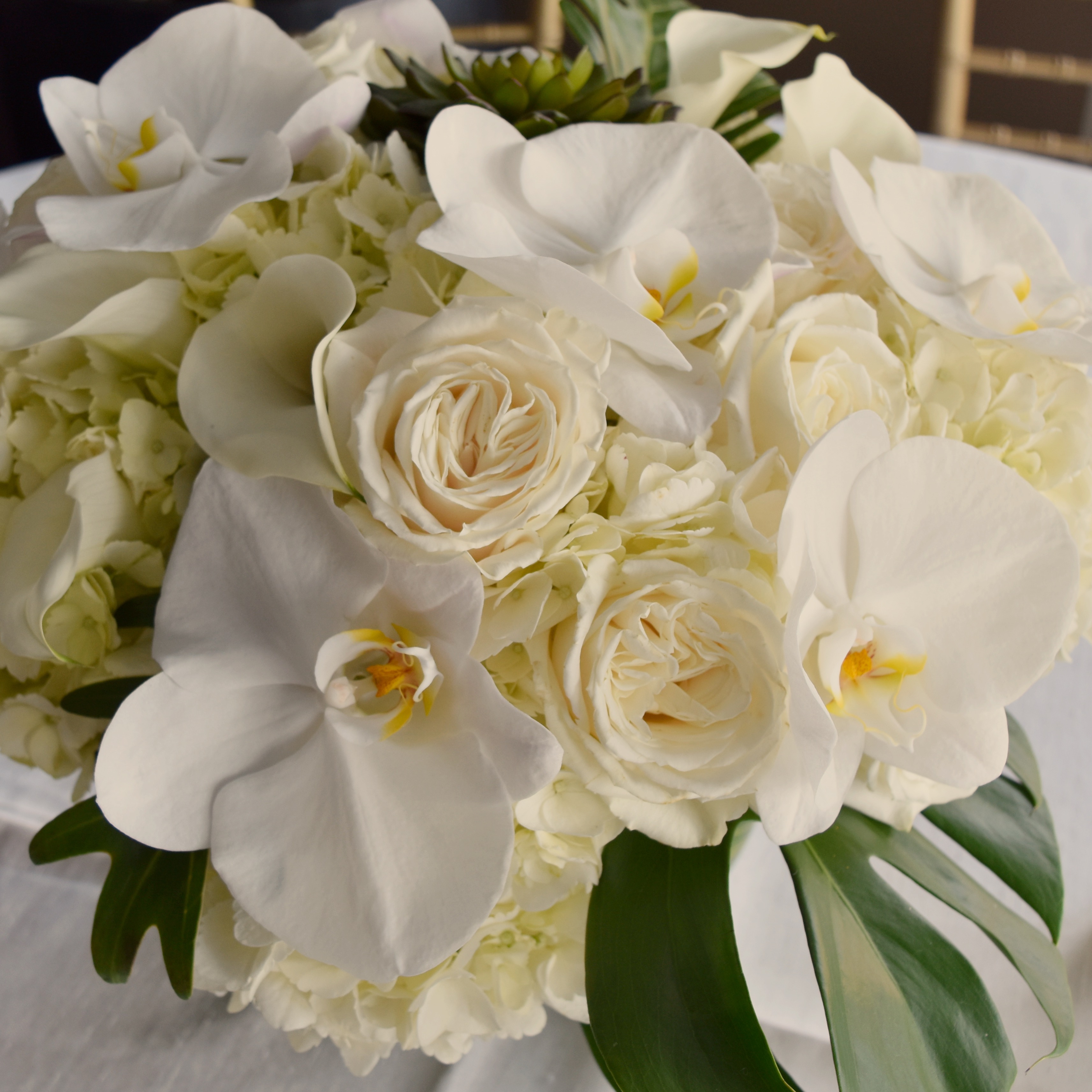 Flowers by Vivian Colls photo 4