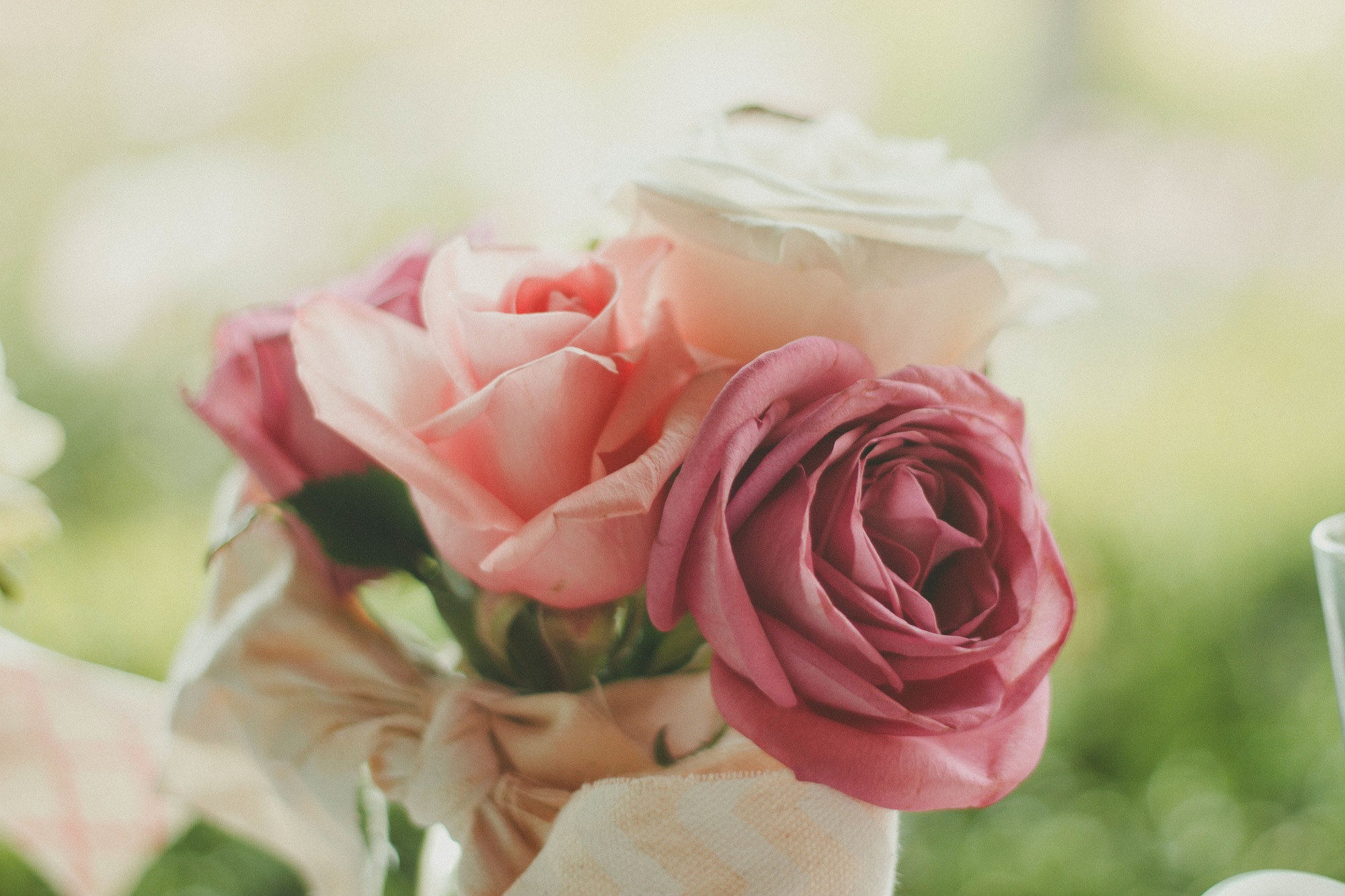 Cherished Ceremonies - Officiant photo 4