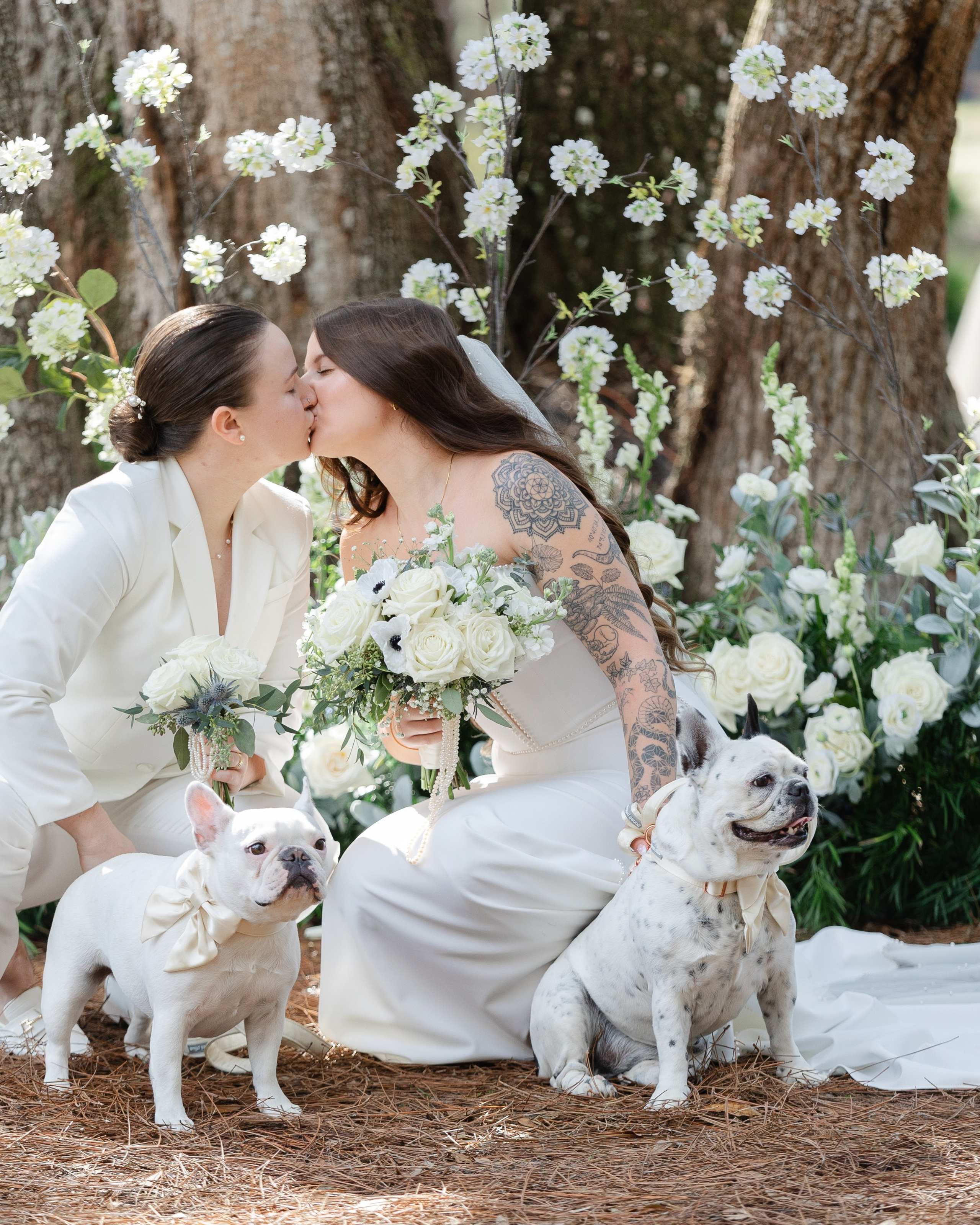 LGBT wedding Katie & Dana