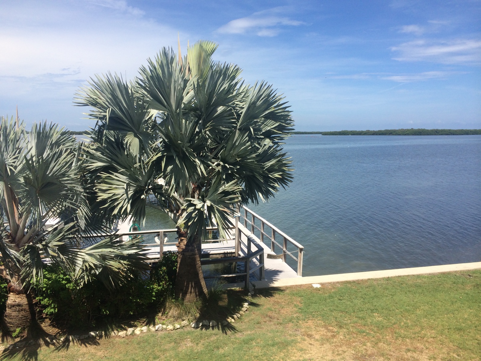 Florida beach wedding and reception packages