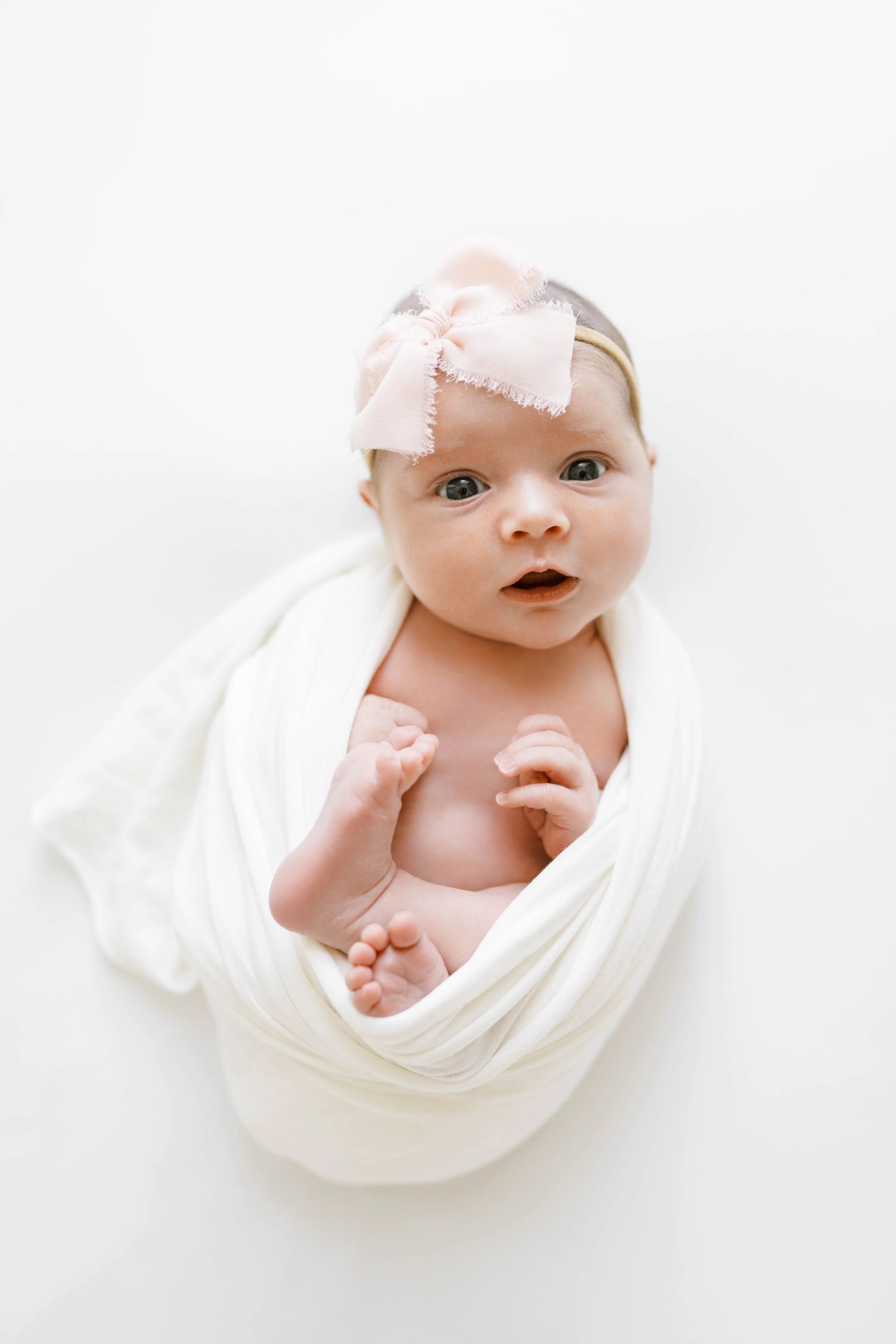 Alexis Lee Photography photo 5