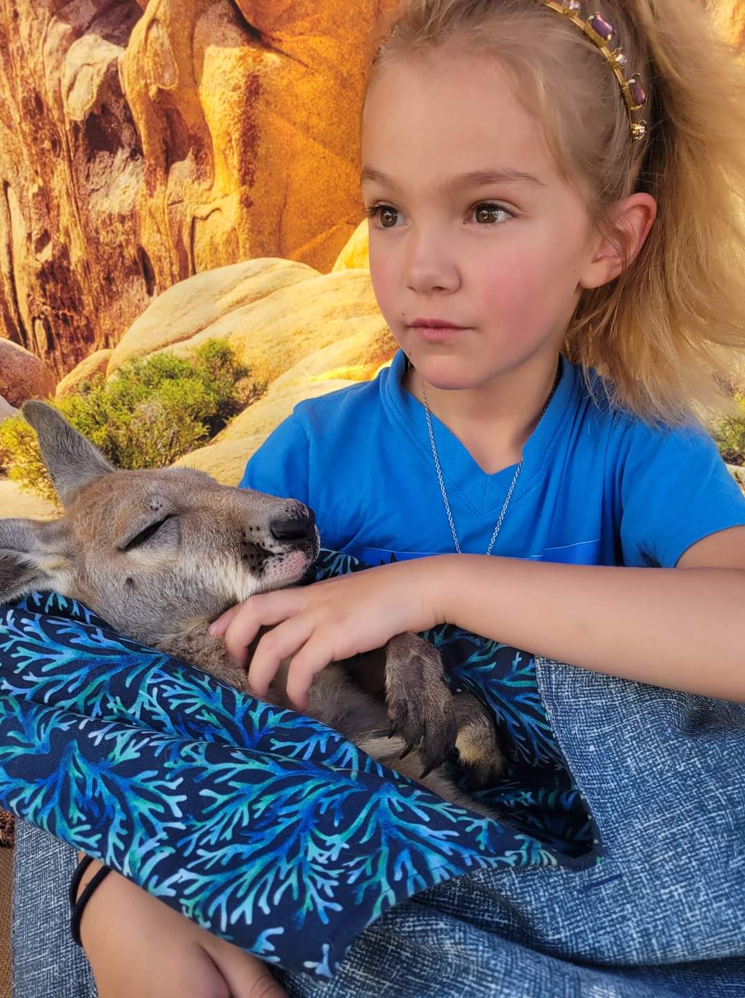 Kangaroo Kuddles