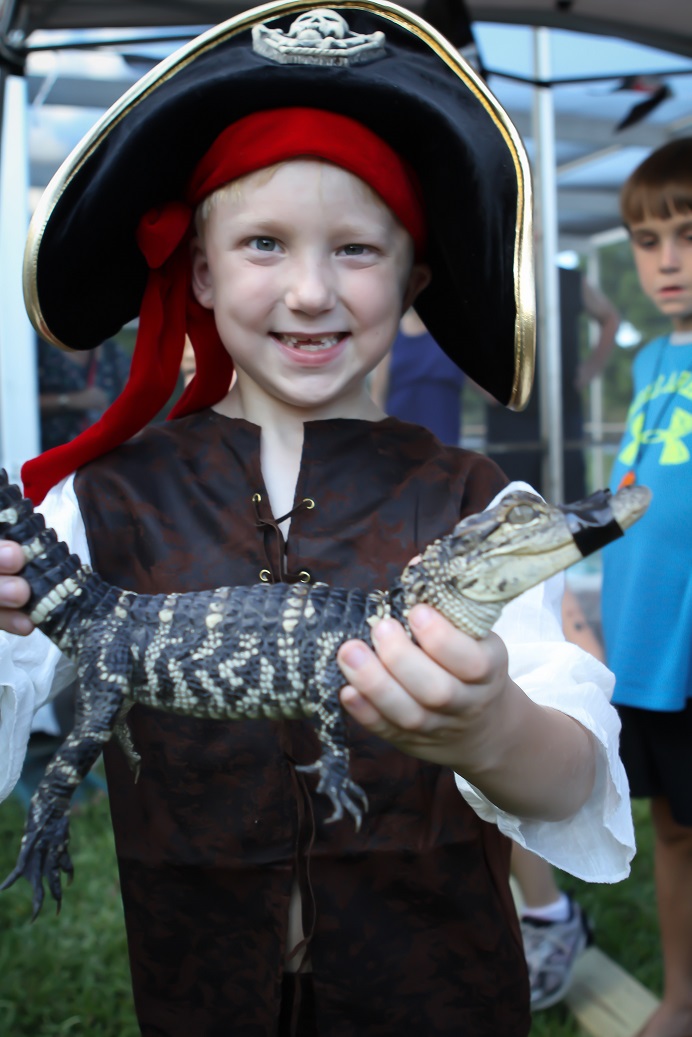 Reptile Show Alligator